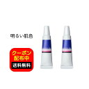 【2本セット】 NAVISION ナビジョンDR スポッツカバー 15g ファンデーション(部分用) 明るい肌色 SPF40 PA+++ 福袋 RSL 送料無料