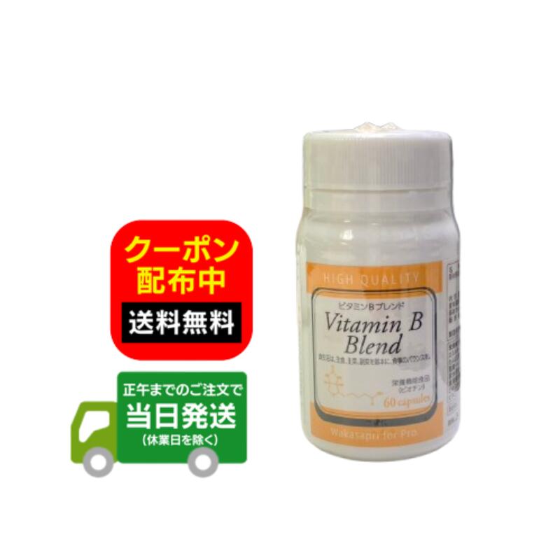 ワカサプリ ビタミンBブレンド 60粒 Wakasapri for pro サプリ 送料無料 当日発送