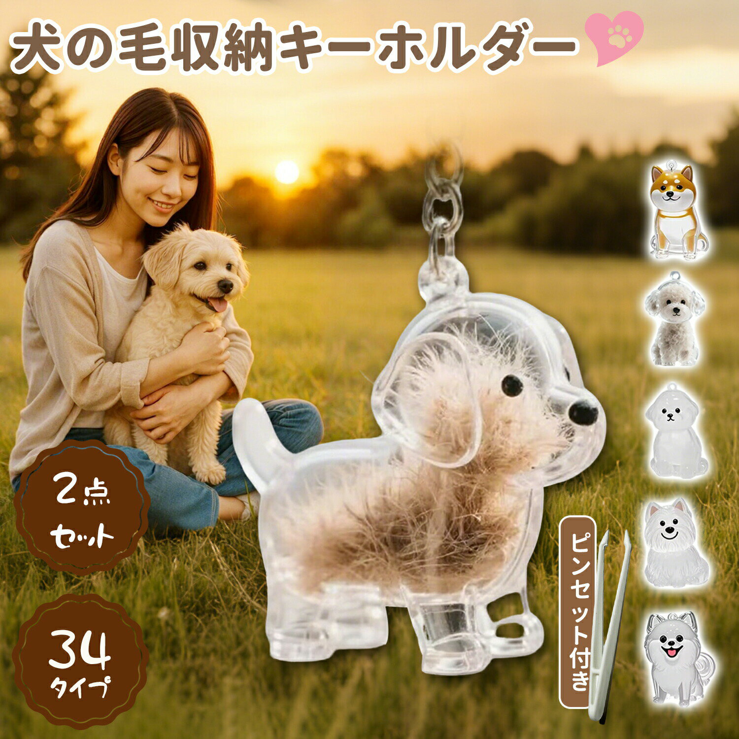 �ڥå� ���� ������ ���ѵץ������ȶ�°���Ǻ��줿��14����ǥ����� �����Ӽ�Ǽ�ܥȥ밦����ȴ���Ӥ�ʱ����¸�� �����ӥ����ۥ���� ...