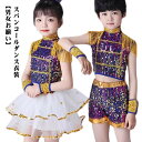 キッズ 上下 カラフル バレエ ダンス 衣装 子供服 男の子 女の子 セットアップ JAZZ ジャズチア ダンス衣装 ラテンダンス コスプレ ガールズ スカート...