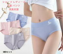 パンツ 消臭抗菌 3枚セット レディース 下着 ショーツ ストレッチ 肌に優しい ハイウエスト スタンダード レギュラーショーツ 綿混 下着パンティ ヒップアッ...