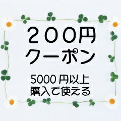 《旅行やお出かけに便利な持ち運びやすいミニサイズ》ヤクルト　歯磨き粉　薬用アパコートS．E．〈ナノテクノロジー〉ポータブル50g　2本セット