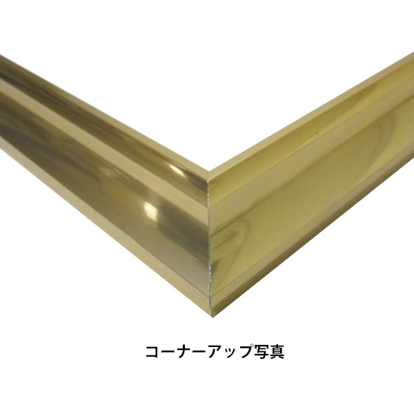 組立額縁【展示用額縁】12号サイズ(F12、P12、M12) 菊 きく ゴールド色