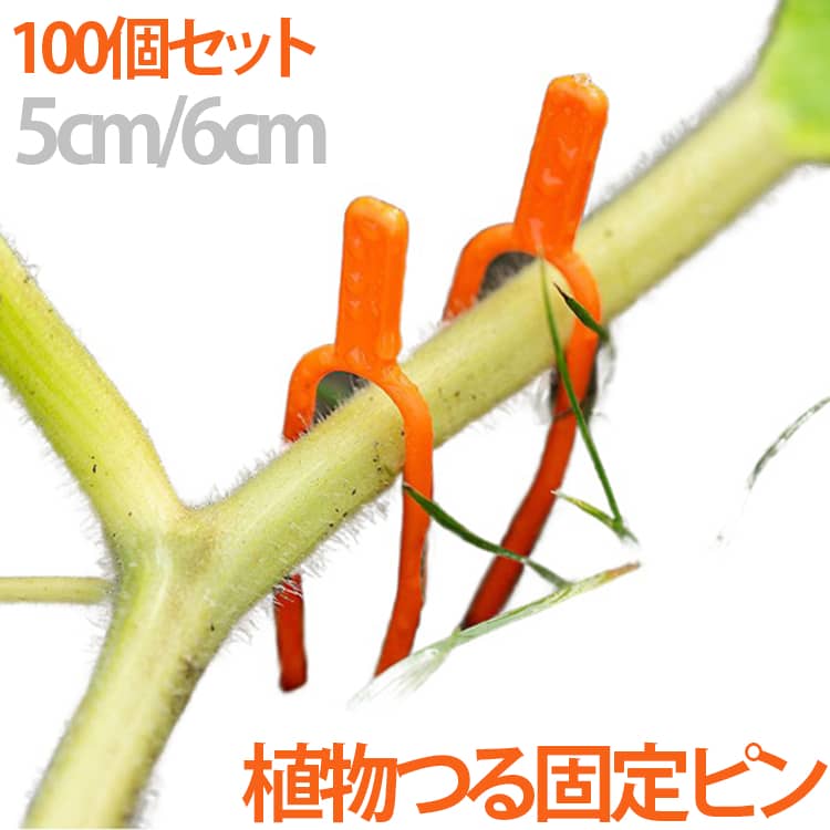 植物のつるや苗をしっかり固定し、生育期間を効果的に調整できます。いちご・スイカ・サツマイモ・ぶどうなど、さまざまな植物に使用できます。耐久性に優れたPP素材を使用しています。 サイズ 100個セット サイズについての説明 【サイズ】100個セット、5cm/6cm 素材 【素材】PP素材 色 5cm(100個セット) 6cm(100個セット) 備考 ●サイズ詳細等の測り方はスタッフ間で統一、徹底はしておりますが、実寸は商品によって若干の誤差(1cm～3cm )がある場合がございますので、予めご了承ください。 ●製造ロットにより、細部形状の違いや、同色でも色味に多少の誤差が生じます。 ●パッケージは改良のため予告なく仕様を変更する場合があります。 ▼商品の色は、撮影時の光や、お客様のモニターの色具合などにより、実際の商品と異なる場合がございます。あらかじめ、ご了承ください。 ▼生地の特性上、やや匂いが強く感じられるものもございます。数日のご使用や陰干しなどで気になる匂いはほとんど感じられなくなります。 ▼同じ商品でも生産時期により形やサイズ、カラーに多少の誤差が生じる場合もございます。 ▼他店舗でも在庫を共有して販売をしている為、受注後欠品となる場合もございます。予め、ご了承お願い申し上げます。 ▼出荷前に全て検品を行っておりますが、万が一商品に不具合があった場合は、お問い合わせフォームまたはメールよりご連絡頂けます様お願い申し上げます。速やかに対応致しますのでご安心ください。