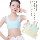 スポーツブラ ジュニア 中学生 ジュニアブラ ファーストブラ ブラジャー 小学生 【2枚セット】 スポブラ 女の子 送料無料 キッズ シームレス ナイトブラ 下...