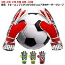 キーパーグローブ ジュニア 5号 6号 7号 8号 9号 10号 高グリップ フットサル 子供 大人 試合用 スポーツ サッカー ラテックスパーム キッズ キーパー手袋 練習 スタンダード 8号 ゴールキーパー 4色 イエロー レッド グリーン 送料無料