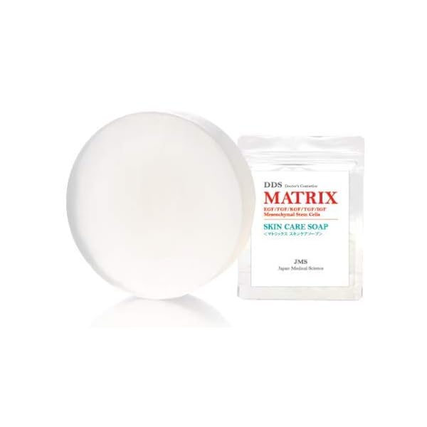 ITEC INTERNATIONAL DDS MATRIX SKIN CARE SOAPʥޥȥå 󥱥 ס80g и Ȥˤ