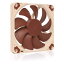 Noctua NF-A9x14 PWM, ץߥ Ų  ե, 4-Pin³ (92x14mm, ֥饦)