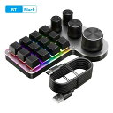 【海外発送】プログラマブルカスタマイズキーボード RGB 12 キー 4 ノブマクロキーパッドホットスワップ USB 有線/Bluetooth 互換メカニカルキーボード(2)
