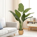 ybaymy 人工 観葉植物 フェイクグリーン ストレリチア・レギネ 大型 造花 160cm 光触媒 インテリア 屋外 フェイク植物 水やり不要 枯れない 盆栽...