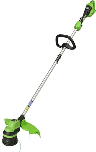 Greenworks(꡼) ż𴢤굡 Ǵ굡 ʧ ưʥ󥫥å ꡼/֥å/졼 3...