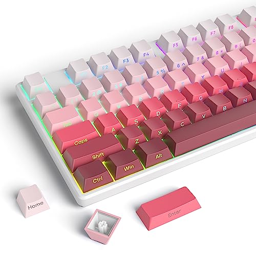 ɥץȥå PBT ǡ󥭡å 75 ѡȡCherry ץե ߥ˥ޥꥹȥ ...