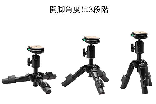 【中古】(非常に良い)Canon ミラーレス一眼カメラ EOS M10 ダブルレンズキット(ブラック) EF-M15-45mm F3.5-6.3 IS STM EF-M22mm F2 STM 付属 EOSM10BK-WLK