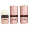 (2個セット)スーパーミリオンヘアー SMH ヘアファンデーション 12g ダークブラウン