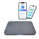 スマートバスマット(Smart Bath Mat)体組成計モデル 【 スマホ連動/体重管理/速乾 洗える ソフト 珪藻土 バスマット/体重・BMI 記録/ダイエット モード搭載/人気/Wi-Fi 対応 】issin (グレー)