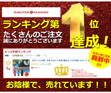 ランキング1位受賞！ 柔軟性重視！ 手袋 メンズ 防寒 防水 防風 スマホ 対応 自転車 バイク ライター 手ぶくろ ブランド品質 裏起毛 スポーツ メンズ レディース 防水 暖かい 通勤 通学 滑り止め スマホ手袋 3サイズ ブラック ブルー ピンク 送料無料