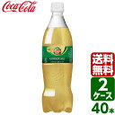 カナダドライ ジンジャーエール 700ml PET 1ケース×20本入 送料無料