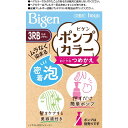 ホーユー ビゲン ポンプカラー つめかえ 3RB リッチブラウン (医薬部外品)