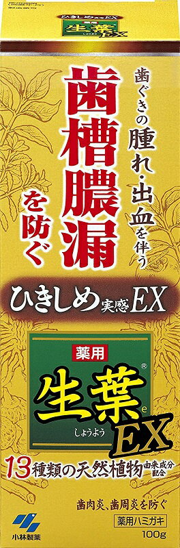 小林製薬 生葉EX 100g