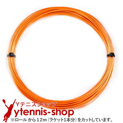 12måʡۥʥץ(SIGNUM PRO) ݥץ饺(Poly Plasma)  Υѥå [M 1/10]ڤڡ