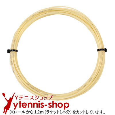 12måʡۥƥ˥եС(Tecnifiber) XR3 ʥ륫顼 Υѥå [M 1/10]ڤڡ