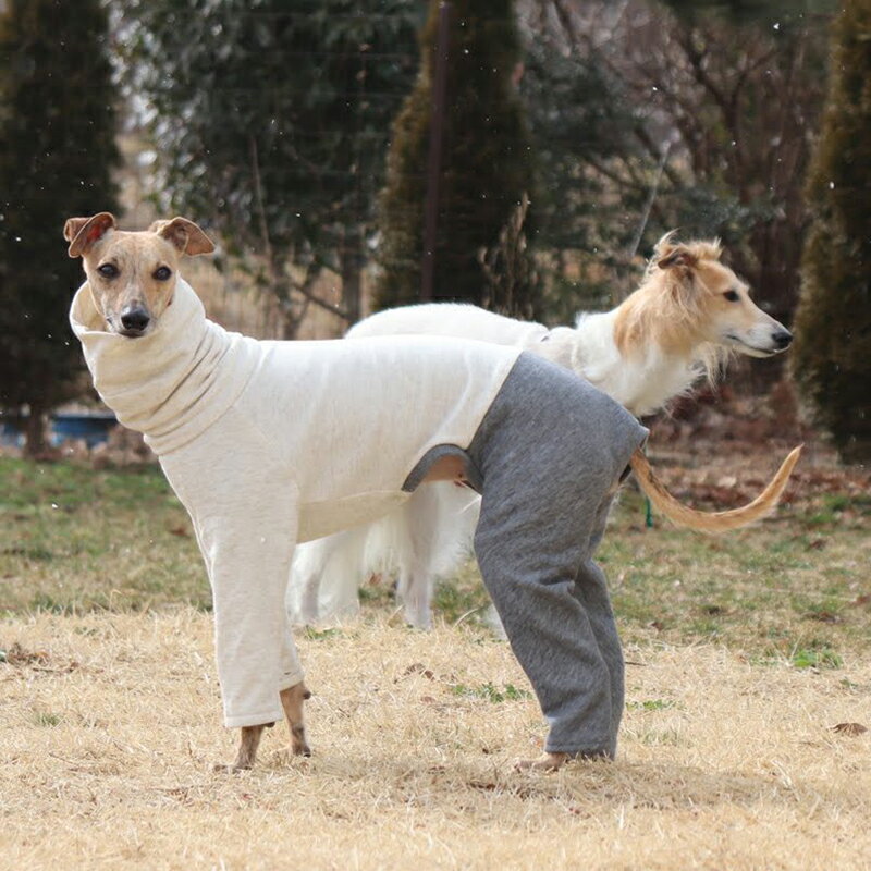 ハイネックストレートロンパース型紙 ばらばら印刷 超小型犬XXS〜SS