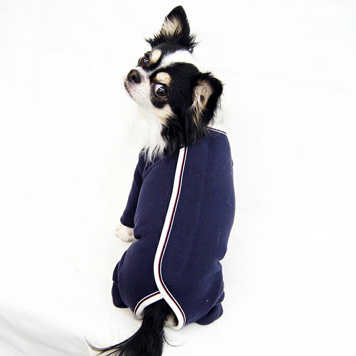 マナロンウィンターVer.型紙 ばらばら印刷 イタリアングレーハウンドIS〜IM