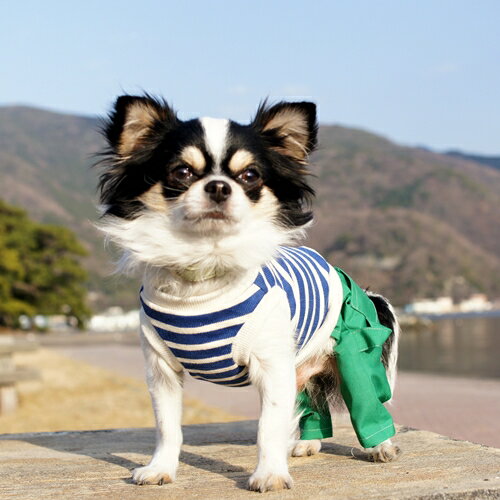 ���󥯥ȥåץ��åȥ��å׷��� eco������ ���å����ե�ɸ���