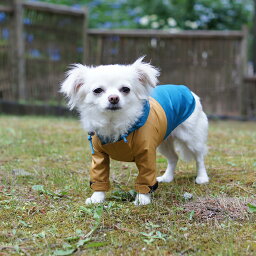 ツバ付きフード切替アウター型紙 eco印刷 胴長小型犬向け