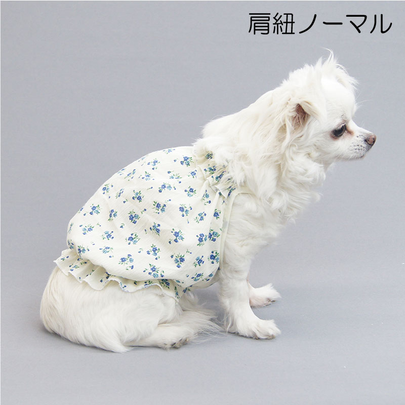 イージーキャミバルーン型紙 eco印刷 ダックス向け ytknetshop-10027236 CELEBDOG サンプル画像2