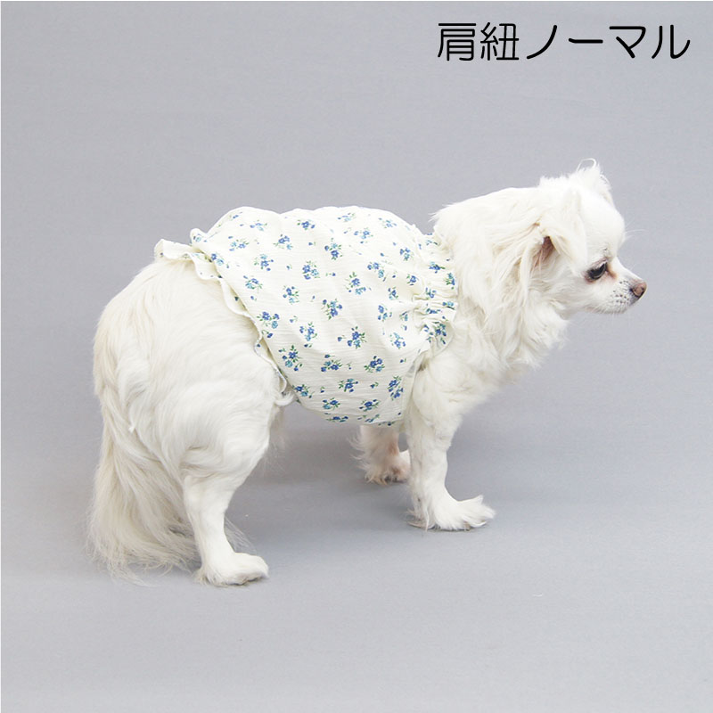 イージーキャミバルーン型紙 eco印刷 ダックス向け ytknetshop-10027236 CELEBDOG サンプル画像3
