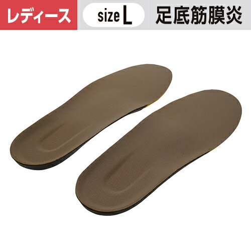 󥽡ץ ǥ ­к L(2425cm) 1ġ  ǥ  #¼  ߤ 󥽡 ΩŻ ѥץ ...