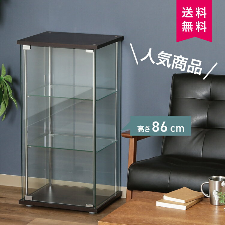 楽天市場】スワロフスキー(コレクションケース|コレクション 楽天市場】スワロフスキー(コレクションケース|コレクション