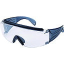 TR YAMAMOTO 保護めがね 一眼型 PET-AF (入数) 1個