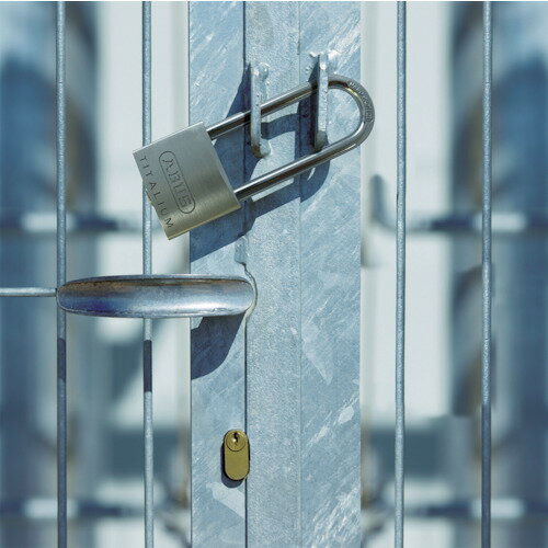 TR ABUS タイタリウム 64TI-50HB80 バラ番 注文単位 : 1個
