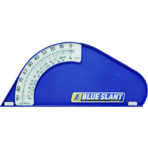 TR シンワ ブルースラント