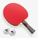 初心者・スポ少に最適!バタフライ(BUTTERFLY) ステイヤー3000 卓球ラケット Y卓球店【あす楽】