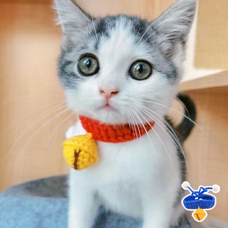 【超人気♪】猫 首輪 おしゃれ 鈴 軽い 可愛い 猫首輪 猫用 レッド ブルー