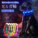 【全犬種対応】犬 首輪 光る首輪 USB