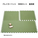 プレイカーペット（36枚セット） 童具館 積み木 ワクブロック WAKU-BLOCK45 1