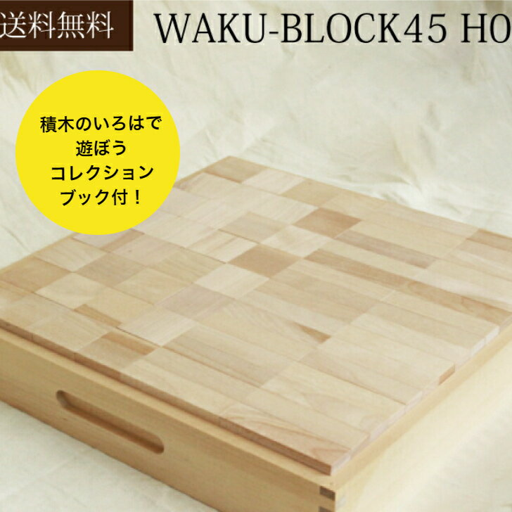 【送料無料】WAKU-BLOCK45 H0 童具館 積
