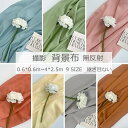 【2点500円/3点800円OFF★SALE限定】撮影 背景布 無地 アイボリー ピンク おしゃれ 撮影シート 背景シート 2.5m 4m 1.2m 撮影 背景布 スタジオ背景 スクリーンシート 撮影用背景布 簡単 収納コンパクト 写真撮影 商品撮影 インスタ 撮影用 送料無料