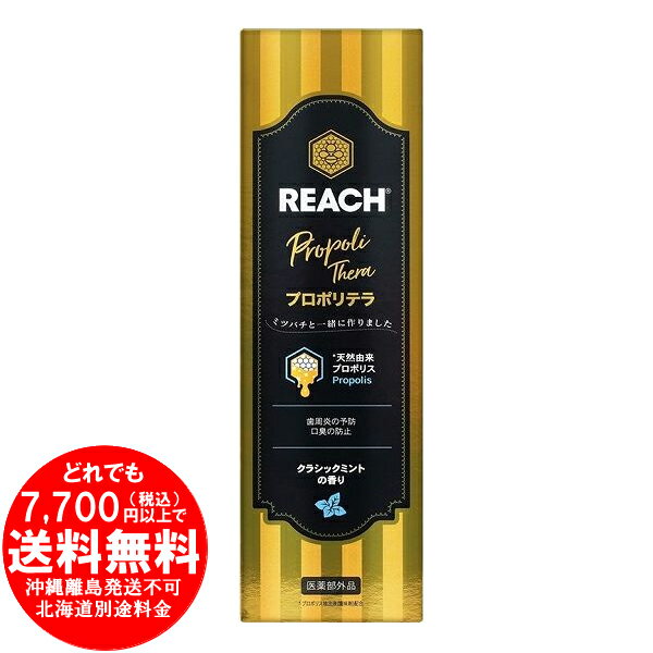 [売り切れました] リーチ プロポリテラ歯みがき クラシックミント 120g 薬用ハミガキ REACH 医薬部外品