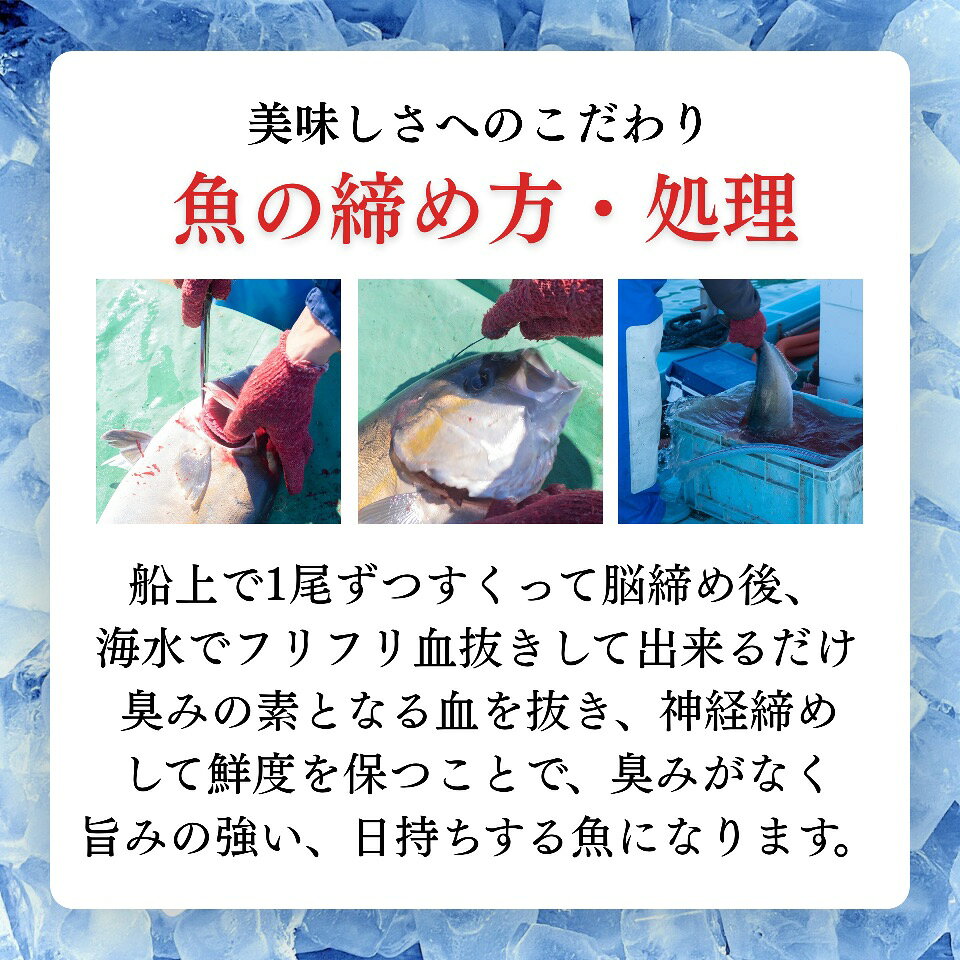 結城水産 金寿カンパチ 冷凍切身 急速凍結 宮崎県 延岡市