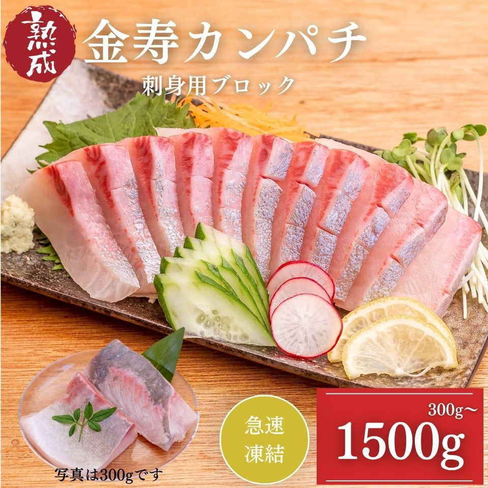 結城水産 金寿カンパチ 刺身用ブロック 急速凍結 お取り寄せ 海鮮 お寿司 カルパッ...