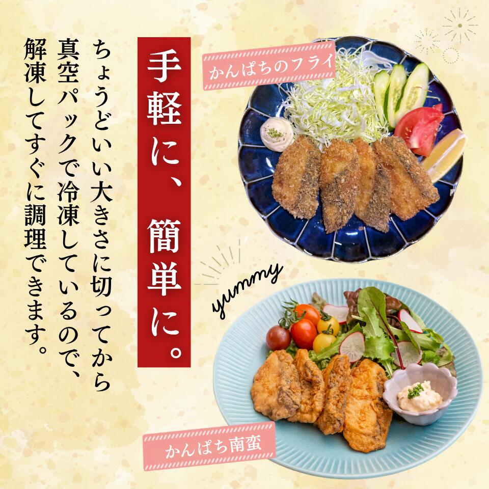 結城水産 金寿カンパチ 冷凍切身 急速凍結 宮崎県 延岡市