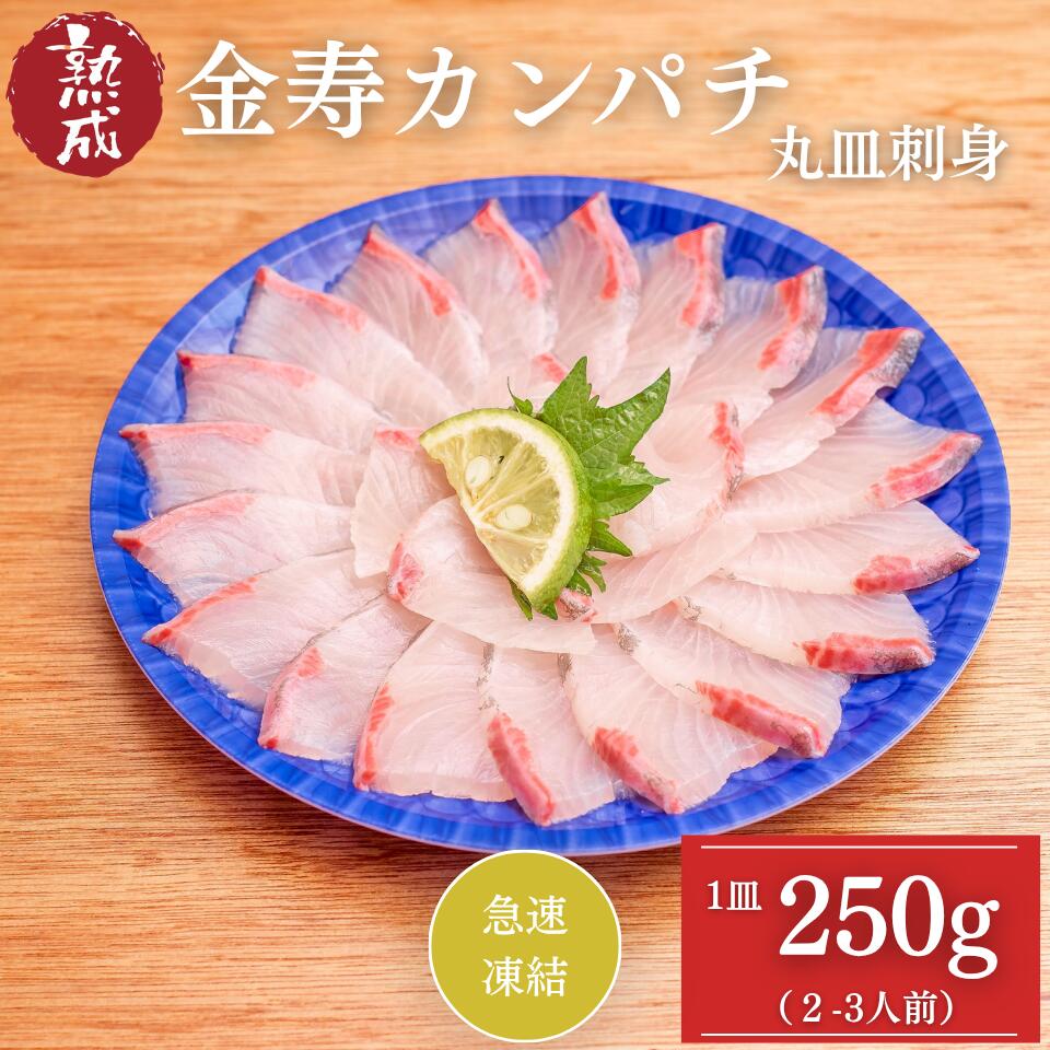結城水産 金寿カンパチ 丸皿刺身 急速凍結 お取り寄せ 海鮮 お寿司 カルパッチョ 宮崎県 延岡市