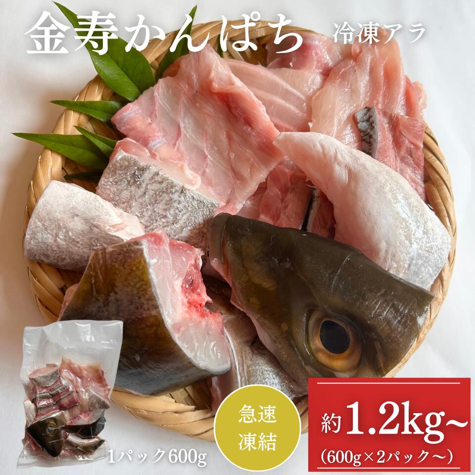 結城水産 金寿カンパチ アラ 急速凍結 宮崎県 延岡市