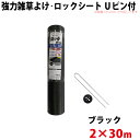強力雑草よけシート ロックシート Uピン・黒丸セット 2m×30m 【北海道・九州別途送料/沖縄県配達不可/代引不可】