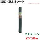 モスグリーン 防草・草よけシート 2m×50m 【北海道・九州別途送料/沖縄県配達不可/代引不可】